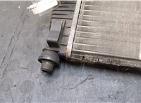 21400JD200 Радиатор охлаждения двигателя Nissan Qashqai 2006-2013 20276476 #2