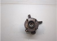  Ступица (кулак, цапфа) Nissan Almera N16 2000-2006 20276541 #1