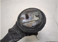  Подушка крепления двигателя BMW 3 E46 1998-2005 20276773 #4