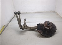  Ступица (кулак, цапфа) Audi A4 (B6) 2000-2004 20276781 #1