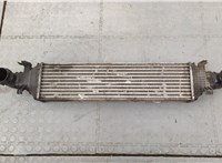  Радиатор интеркулера Mercedes E W212 2013-2016 20276879 #1