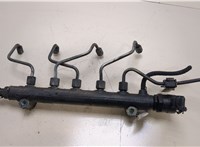  Рампа (рейка) топливная Hyundai Santa Fe 2005-2012 20276964 #1