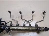 Рампа (рейка) топливная Hyundai Santa Fe 2005-2012 20276964 #4