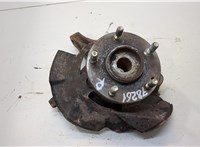  Ступица (кулак, цапфа) Hyundai Tucson 1 2004-2009 20276966 #1