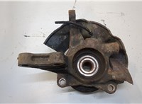  Ступица (кулак, цапфа) Hyundai Tucson 1 2004-2009 20276966 #3