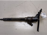  Форсунка топливная Hyundai Santa Fe 2005-2012 20276969 #1