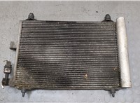  Радиатор кондиционера Peugeot 406 1999-2004 20277055 #1