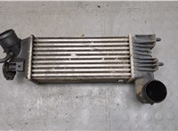  Радиатор интеркулера Peugeot 406 1999-2004 20277092 #1