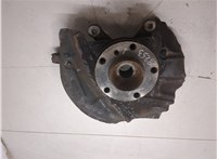 31206756256, 6756256, 31216761575, 34116756901 Ступица (кулак, цапфа) BMW X5 E53 2000-2006 20277100 #4