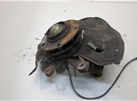  Ступица (кулак, цапфа) BMW 3 E46 1998-2005 20277162 #1