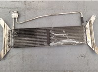  Радиатор масляный Opel Omega B 1994-2003 20277282 #1