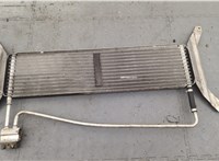  Радиатор масляный Opel Omega B 1994-2003 20277282 #3