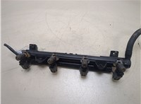  Форсунка топливная Skoda Roomster 2006-2010 20277633 #1