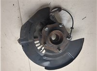  Ступица (кулак, цапфа) Nissan Pathfinder 2012-2017 20277645 #1