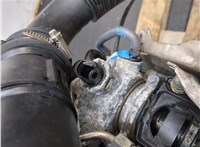 1897600 Двигатель (ДВС) Ford Focus 3 2011-2015 20278642 #11