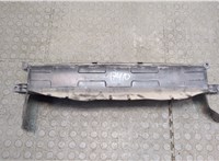 42532807 Пластик радиатора Chevrolet Bolt 2016- 20279237 #1