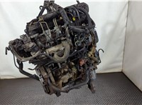  Двигатель (ДВС) Citroen Berlingo 2008-2012 20279284 #3