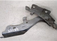  Петля капота Infiniti EX35 20279313 #1