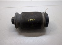  Пневмоподушка Mercedes GL X164 2006-2012 20280932 #1
