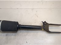  Амортизатор подвески Mercedes GL X164 2006-2012 20281437 #1