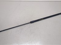  Амортизатор капота Volkswagen Passat 6 2005-2010 20281496 #1