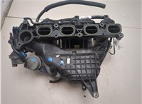 5164230 Коллектор впускной Ford Focus 2 2008-2011 20281639 #11