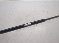 904507S40A Амортизатор крышки багажника Infiniti QX56 2004-2010 20281978 #5