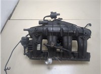  Коллектор впускной Volkswagen Passat CC 2008-2012 20282456 #1