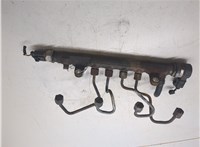  Рампа (рейка) топливная Volkswagen Transporter 5 2009-2015 20283124 #1