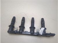  Катушка зажигания Opel Zafira B 2005-2012 20283354 #1