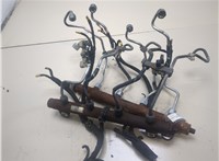  Рампа (рейка) топливная Land Rover Range Rover 3 (LM) 2002-2012 20283933 #4