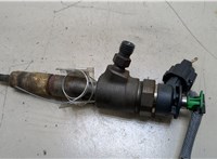 0445110340 Форсунка топливная Peugeot 207 20283967 #1