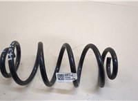 42839711 Пружина подвески Buick Envista 20284255 #1