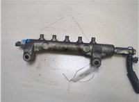  Рампа (рейка) топливная Nissan Pathfinder 2004-2014 20285462 #1
