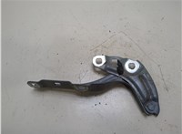  Петля капота Buick Envista 20285979 #1