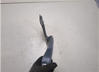  Петля капота Buick Envista 20285983 #3
