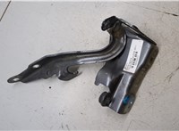 534100C020 Петля капота Toyota Sequoia 2008- 20286033 #3