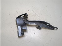  Петля капота Toyota Sequoia 2008- 20286035 #1