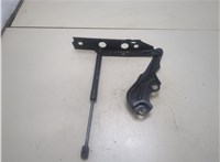  Петля капота Audi A6 (C7) 2014-2018 20286115 #1