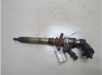 9657144580 Форсунка топливная Ford Mondeo 4 2007-2015 20286495 #1