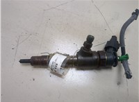 1980EJ, 0445110339 Форсунка топливная Citroen C3 2009-2013 20286722 #1