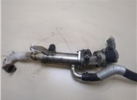 Клапан рециркуляции газов (EGR) Jaguar S-type 20287119 #1