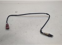  Лямбда зонд Volkswagen Passat CC 2012-2017 20287404 #1