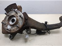 Ступица (кулак, цапфа) Nissan Titan 2003-2007 20287712 #1