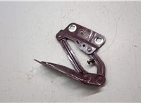  Петля капота Mercedes GL X164 2006-2012 20287715 #3
