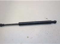  Амортизатор крышки багажника Volkswagen Touareg 2007-2010 20287761 #1