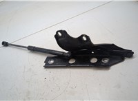  Петля капота Audi A6 (C7) 2014-2018 20287796 #1