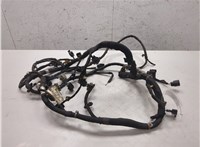 Электропроводка Land Rover Range Rover Sport 2009-2013 20287989 #1