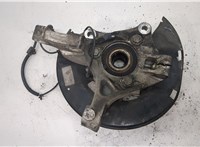  Ступица (кулак, цапфа) Chevrolet Volt 2010-2015 20288063 #1