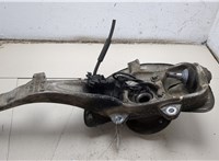 A1663500508 Кулак поворотный Mercedes GL X166 2012-2016 11344358 #3